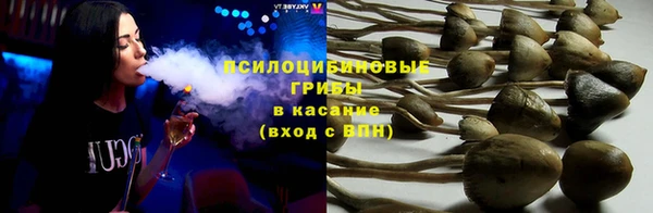 spice Приозерск