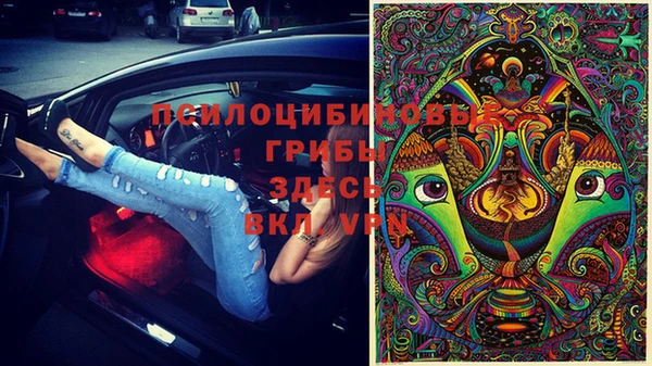 таблы Протвино