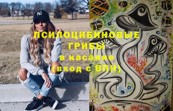 ПСИЛОЦИБИНОВЫЕ ГРИБЫ Абинск