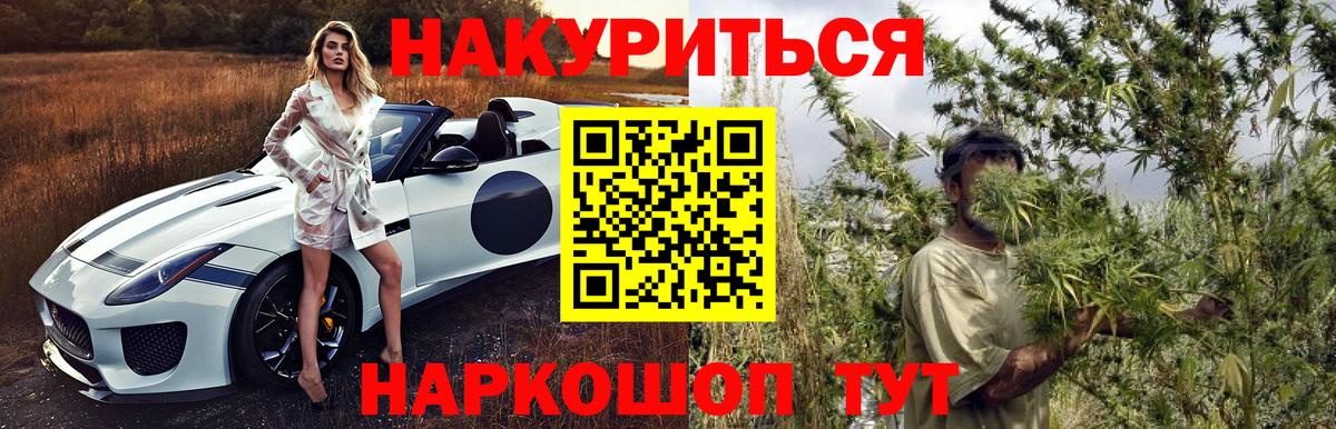 Бошки марихуана гибрид  МАРИХУАНА семена  Конопля планчик  Кумертау  Вход с VPN 